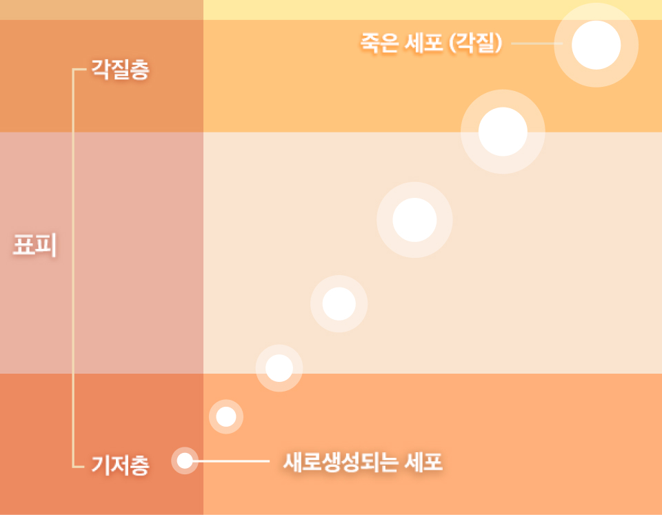 필링케어 모바일 이미지