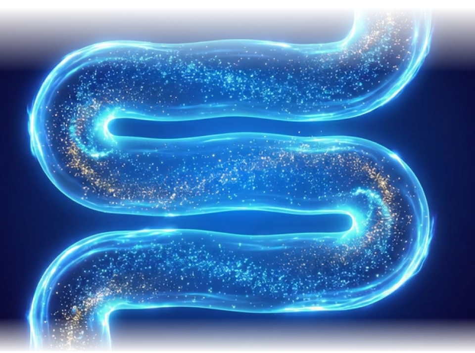 리엔장 1인치플러스주사 상체 시술 부위 모델 이미지