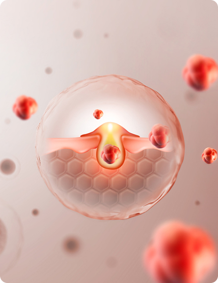 리엔장 여드름케어 소개 이미지