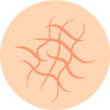 리엔장 스페셜케어가 필요한 피부 유형 - 수분부족